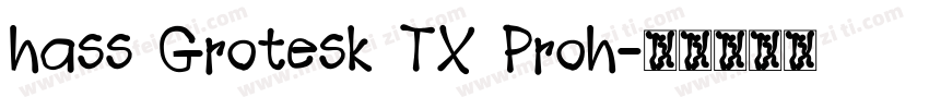 hass Grotesk TX Proh字体转换